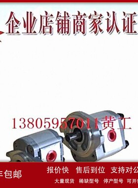 议价台湾康百世KOMPASS齿轮泵P109RN01GT P109RP01GT P109RU01GT