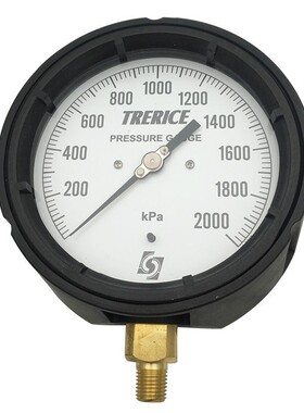 美国Trerice 压力表Trerice450SS系列不锈钢精密压力表