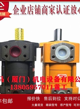 议价CHENGJIE诚捷齿轮泵NT2-C20F NT2-C25F NT2-C32F NT3-C40F