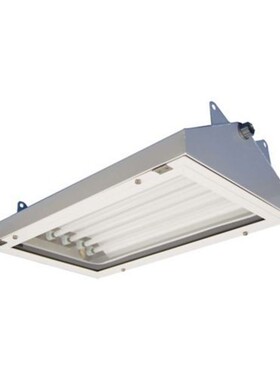EATON Pauluhn Apex危险区域线性荧光灯具