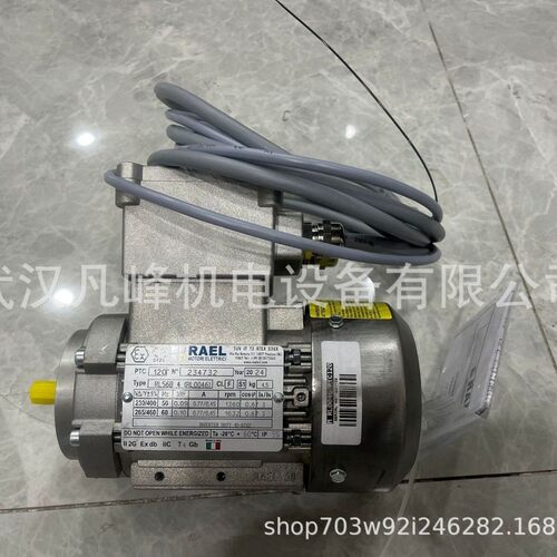 优势供应意大利原装进口 RAEL 防爆 电机 L80B 2(RL1067-1)等