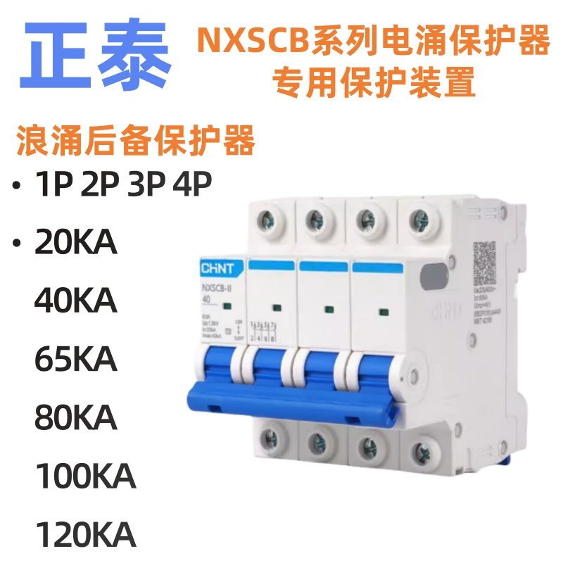 正泰NXSCB浪涌后备保护器1P2P3P4P防雷器电涌保护20ka40ka65ka100
