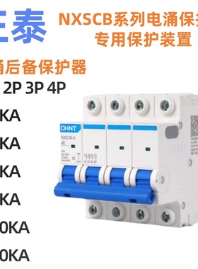 正泰NXSCB浪涌后备保护器1P2P3P4P防雷器电涌保护20ka40ka65ka100