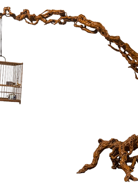 清代黄杨木透雕根形架配竹鸟笼