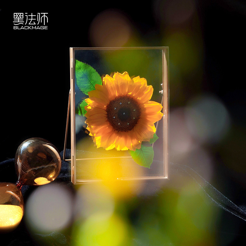 向阳而生永久观赏美好治愈