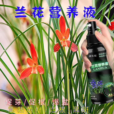 兰花黑斑病专用杀菌药叶康灵植物黄叶焦尖炭疽病生根杀菌剂营养液