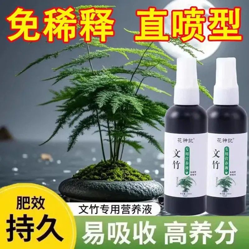 【四季爆芽】文竹专用营养液根部叶尖发黄干枯枯瘦干尖烂根落叶