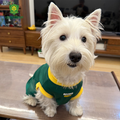 北京国安萌宠宠物服球迷用品国安周边宠物T恤猫狗服饰T恤衫