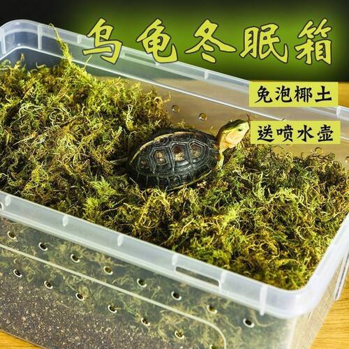 乌龟冬眠套装龟过冬椰土