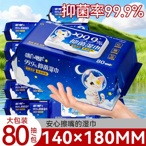蓝漂大包湿巾80片大包RO纯水抑菌加大加厚手脸专用湿纸巾整箱实惠