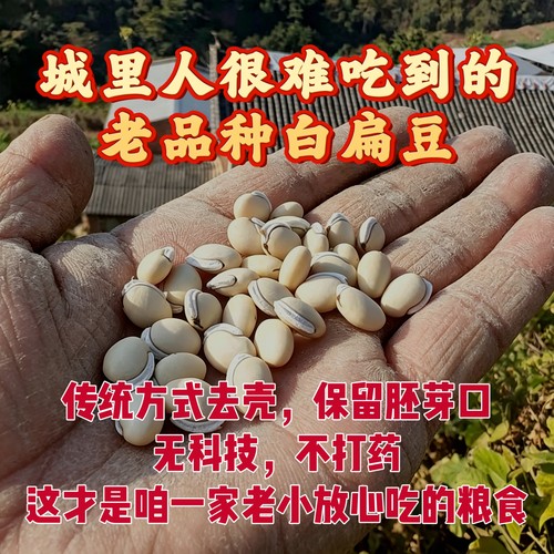 （深山里的老品种白扁豆）农家小颗粒白扁豆黑边带带胚芽熬粥煲汤