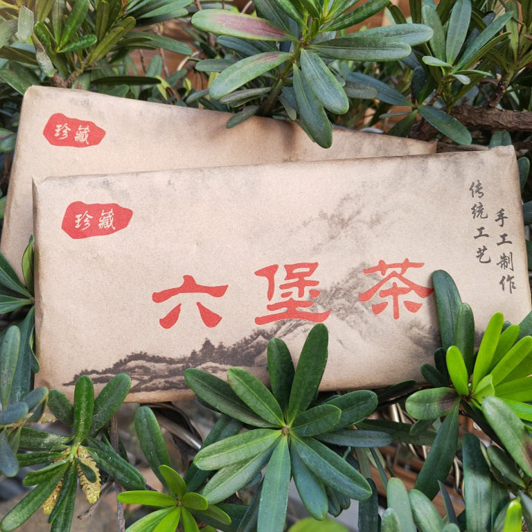 九十年代陈香六堡茶砖一斤砖带虫六堡茶