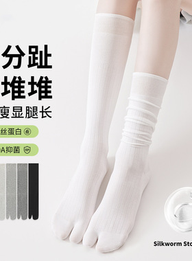 桑蚕丝袜子女中筒袜夏季薄款二趾袜透气堆堆分趾袜白色花边长袜