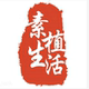 专拍链接 直播特价
