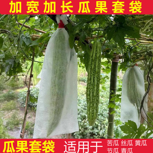 苦瓜套袋防水农用防虫袋蔬菜