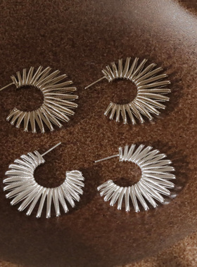 925银针浮雕太阳花耳圈夸张独特漂亮耳环轻奢高级感小众复古耳饰