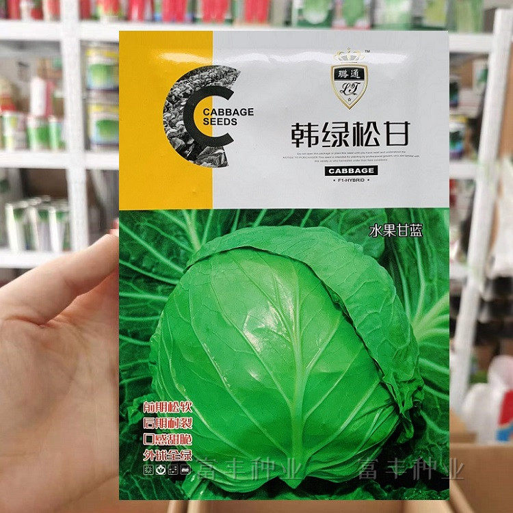 韩绿松甘水果甘蓝种子黄芯水果型甘蓝种子松球甘甜包菜种子耐裂球