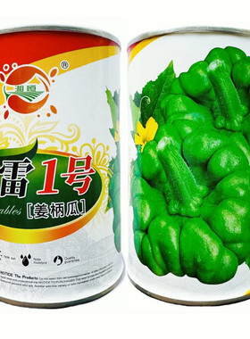 姜柄瓜种子云南特产姜饼瓜种籽蔓生柿饼状七叶瓜丫丫瓜小南瓜种孑