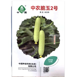中农脆玉1号2号黄瓜种子白黄色水果黄瓜种子高产口感型白黄瓜种子