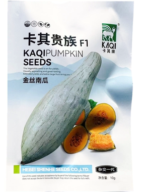 灰太狼贵族板栗南瓜种子新疆丑瓜种籽板栗粉糯香甜老南瓜种孑