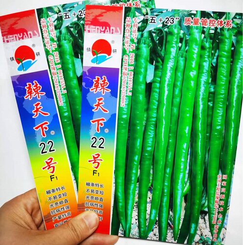 镇研辣天下22号18号超长线椒辣椒种子高产早熟超辣特长线椒种籽
