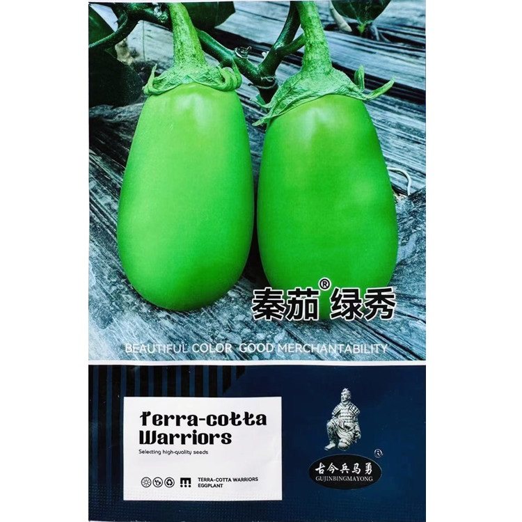 秦茄绿秀茄子种子油亮绿茄子种子长卵圆形绿罐茄种籽大棚露地种