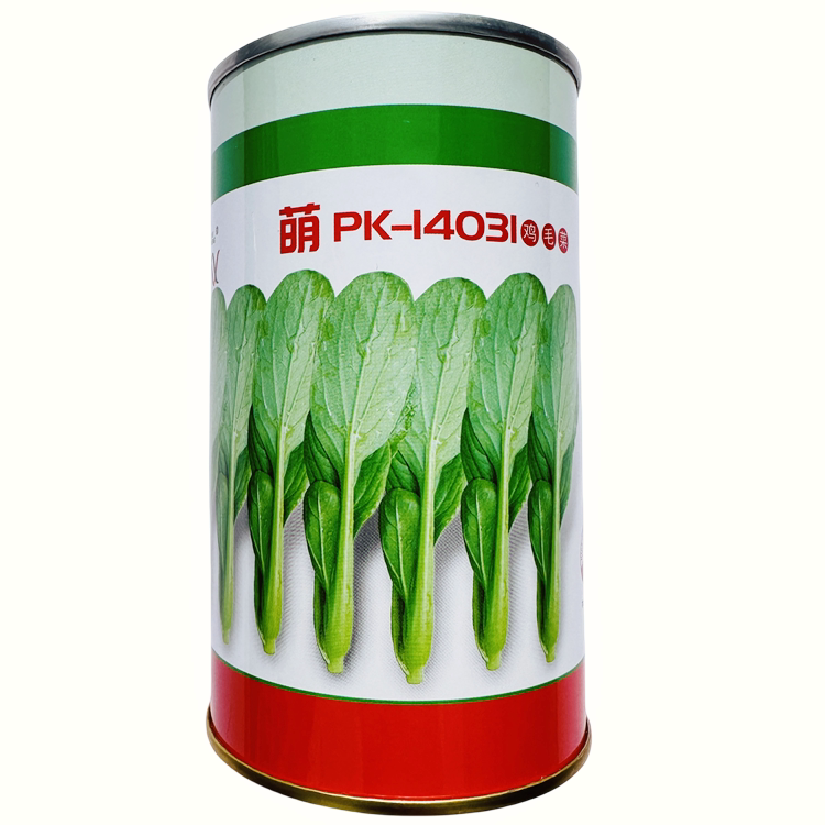 萌PK-14031鸡毛菜种子生长速度快色泽浓绿耐热鸡毛菜种子200克 - 实物图
