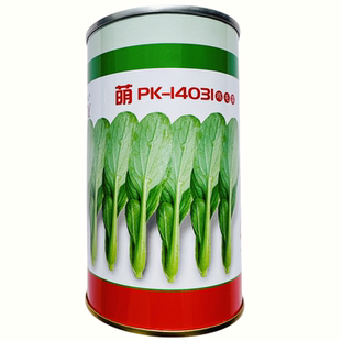 萌PK-14031鸡毛菜种子生长速度快色泽浓绿耐热鸡毛菜种子200克