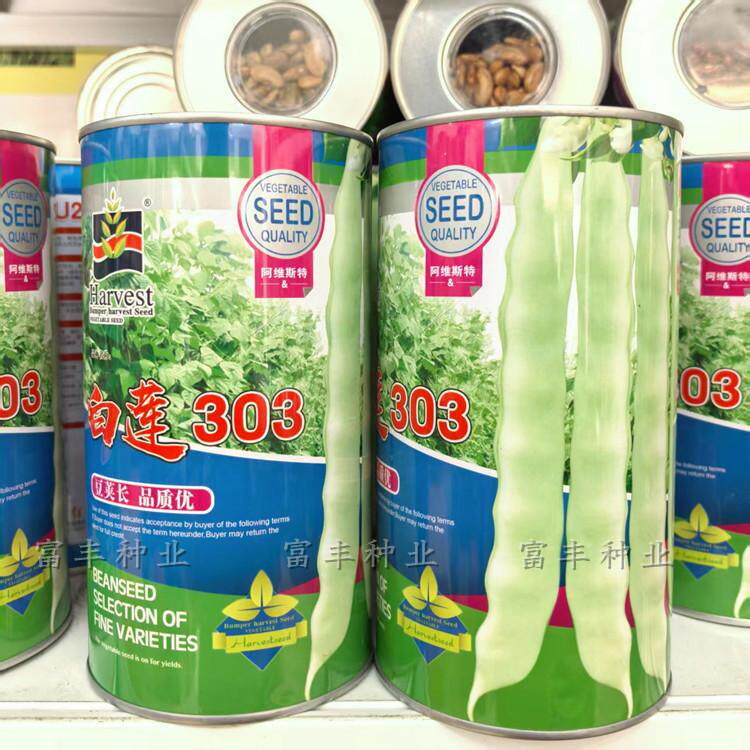 白莲306架豆种子早熟高产绿白荚架豆种子春秋长扁形架豆菜豆种子