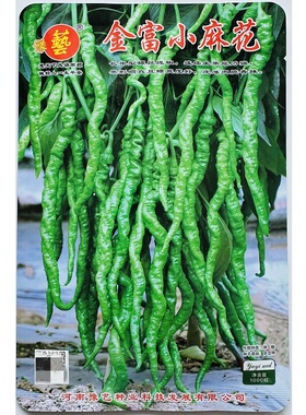 金富小麻花螺丝椒种子中早熟长果螺丝线椒种子翠绿薄皮螺丝椒种子