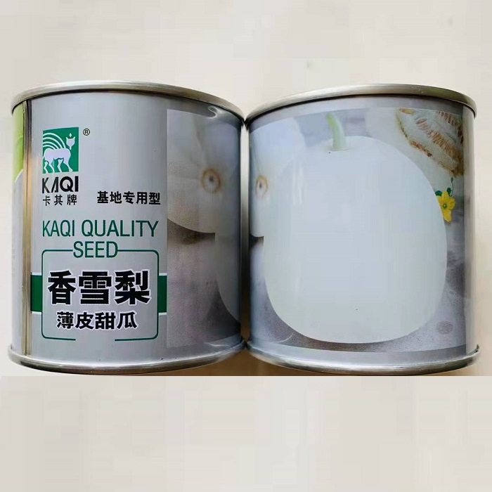 卡其香雪梨薄皮甜瓜种子冰糖美玉早熟高糖超甜白皮白肉甜瓜种子