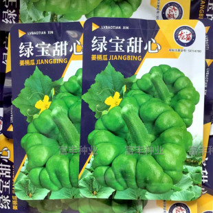 绿宝甜心姜柄瓜种子蔓生亮绿扁圆形姜柄瓜种子七月瓜丫丫瓜种子