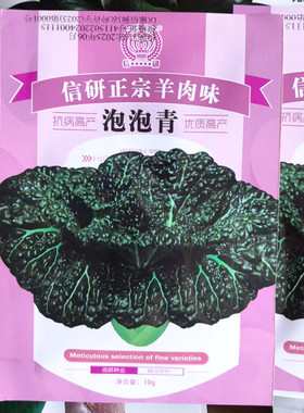 泡泡青种子叶苗皱缩泡状黑油青菜种子秋季种耐寒随州泡泡青种子