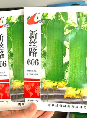 绿领新丝路606丝瓜种子中熟青绿皮短棒丝瓜种籽春夏季短丝瓜种子