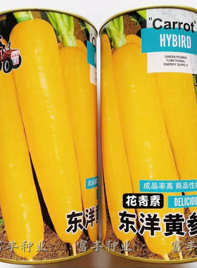 胡萝卜种子 齐头黄参胡萝卜种子 秋播黄色胡萝卜种籽秋季蔬菜种孑