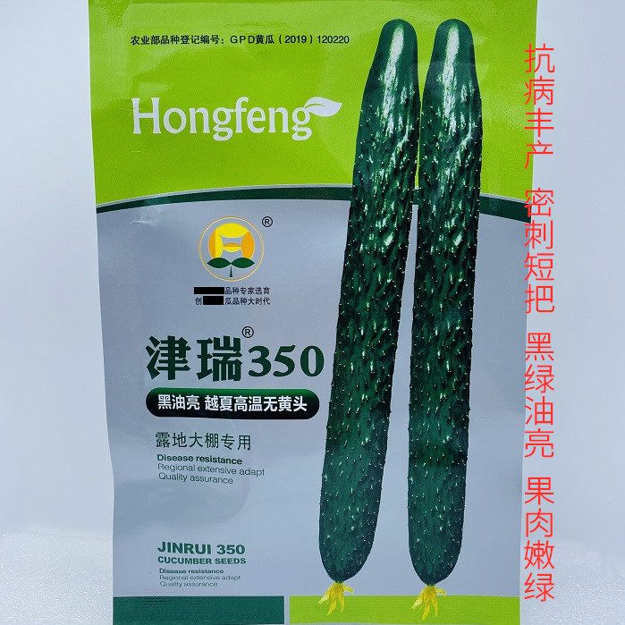 津瑞350黄瓜种子越夏耐高温露地大棚黑油亮嫩绿瓤肉青瓜种子高产