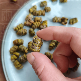 雨涿丨铁皮石斛枫斗干货泡酒泡茶煲汤磨粉传统滋补品安徽霍山