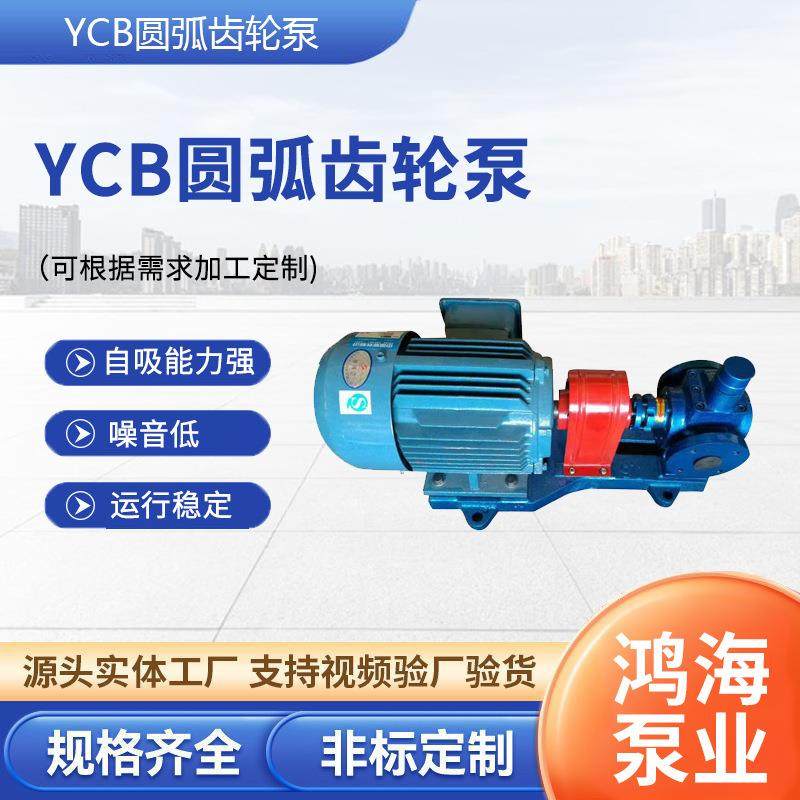 YCB-6圆弧齿轮泵燃油润滑油输送泵防爆齿轮泵大流量汽柴油齿轮泵,五金/工具,其它泵类型,淘宝优惠券,粉丝福利购,淘宝优惠卷