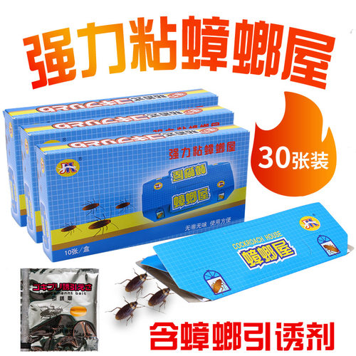 蟑螂神器家用杀灭厨房30