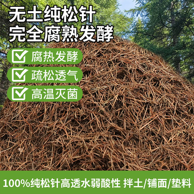 纯松针天然腐叶松针土疏松透气土
