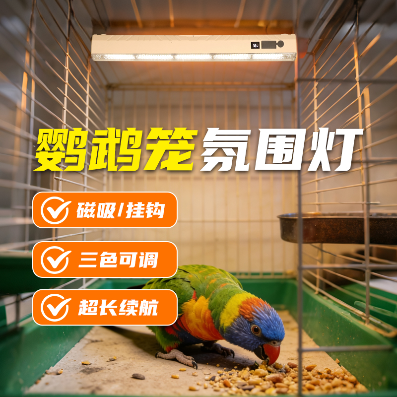 【一万+人种草】鹦鹉笼氛围灯