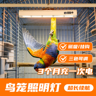 鸟笼照明灯宠物照明灯鹦鹉氛围灯兔笼狗窝猫窝仓鼠磁吸悬挂小夜灯