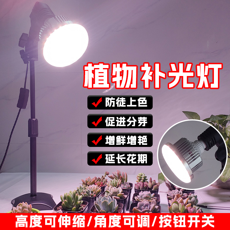 【一万+人种草】植物补光灯