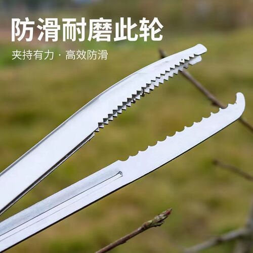 捕泥鳅黄鳝夹鳝鱼夹子不锈钢钳子防滑赶海神