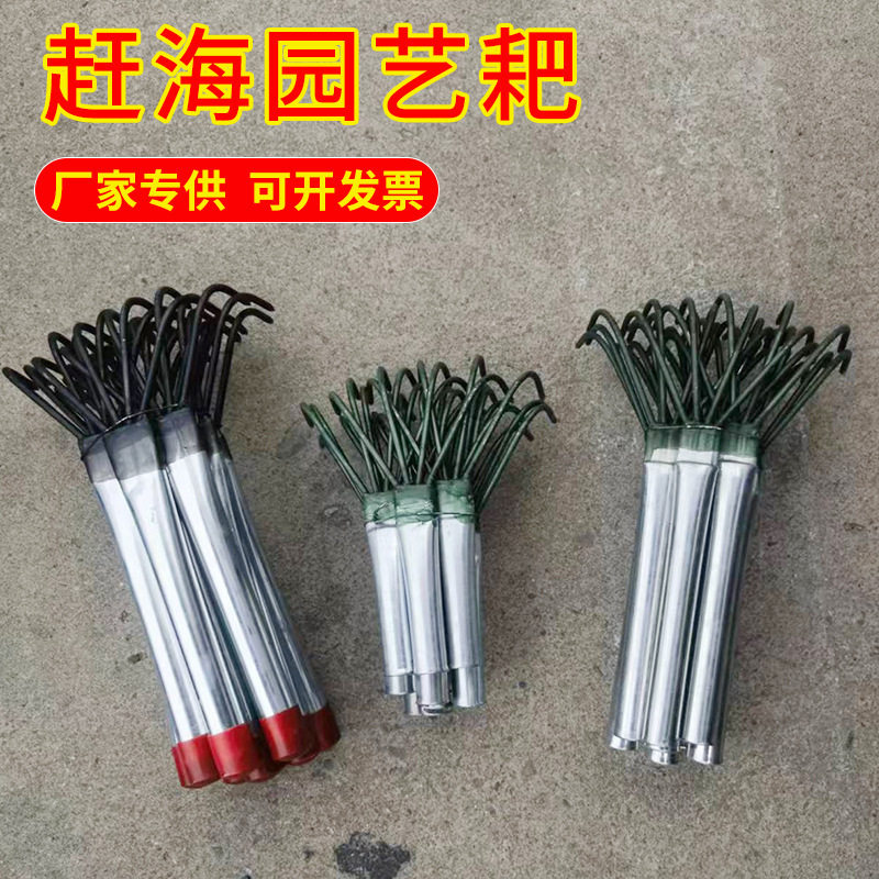 赶海神器海边沙滩耙子贝壳蛤蜊挖牡蛎赶海必备神器非螃蟹蛏子