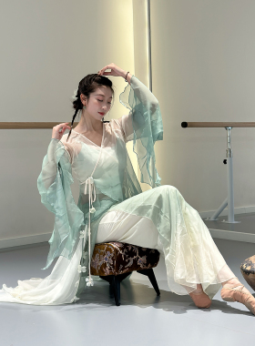 中国风古风古典舞蹈服练功服女飘逸仙气身韵纱衣中国舞演出服绿色