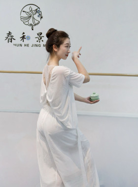 前后两穿钉珠网纱舞蹈上衣短袖