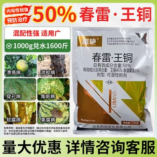 春雷王酮王铜柑橘树溃疡病大白菜软腐病角斑穿孔病细菌病害杀菌剂