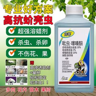 蚧壳虫专用药吡虫啉噻嗪酮铜果树柑橘柿子介壳虫蚧必治农药杀虫剂