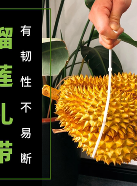 榴莲扎带 大号5*650白色4.8mm宽度国标100条装捆绑榴莲替代皮筋